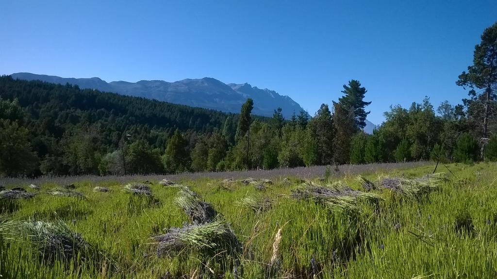 Morada Del Sol - Experiencia De Montana Villa El Bolsón Dış mekan fotoğraf