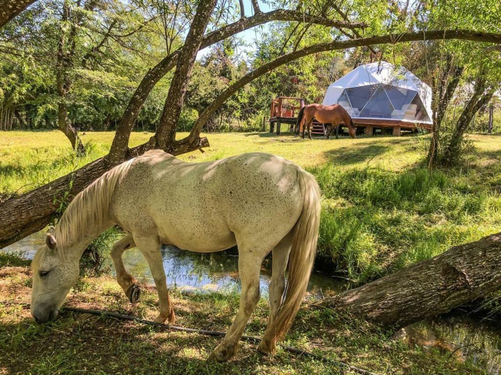 Morada Del Sol - Experiencia De Montana Villa El Bolsón Dış mekan fotoğraf